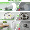 Matulsa Rechargeable Emergency LED Bulb