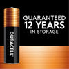 Duracell Coppertop AA Batteries