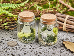 Personalized Glow-in-the-Dark Ghost in a Jar
