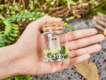 Personalized Glow-in-the-Dark Ghost in a Jar