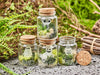 Personalized Glow-in-the-Dark Ghost in a Jar