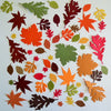 Autumn Leaf Paper Die Cuts