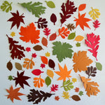 Autumn Leaf Paper Die Cuts