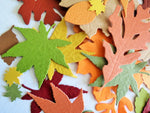 Autumn Leaf Paper Die Cuts