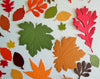 Autumn Leaf Paper Die Cuts