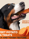 Brutus And Barnaby Sweet Potato Dog Treats