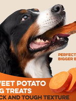 Brutus And Barnaby Sweet Potato Dog Treats