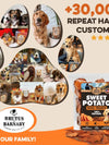 Brutus And Barnaby Sweet Potato Dog Treats
