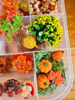 Fall Thanksgiving Sensory Kit