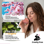 Aromatherapy Shower Steamers Gift Set