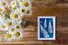 Solar Printing Kit