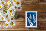 Solar Printing Kit