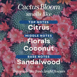 Fresh Scent Novelty Candle
