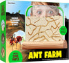 Kids Ant Farm Kit