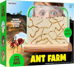Kids Ant Farm Kit