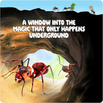 Kids Ant Farm Kit