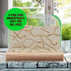 Kids Ant Farm Kit