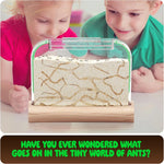 Kids Ant Farm Kit