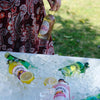 Portable Folding Ice Cooler Table