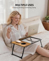 Fisyod Foldable Laptop Lap Desk