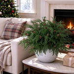 Artificial Norfolk Pine Stem
