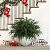 Artificial Norfolk Pine Stem