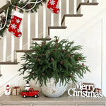 Artificial Norfolk Pine Stem
