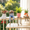 Quirky Resin Leggy Plant Pot Set