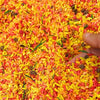 Fall Themed Sensory Rice