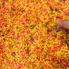 Fall Themed Sensory Rice