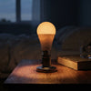 Matulsa Rechargeable Emergency LED Bulb