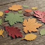 Autumn Leaf Paper Die Cuts