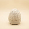 Dinosaur Egg Projector Night Light