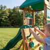 Cedar Wood Backyard Swing Set