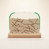 Kids Ant Farm Kit