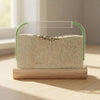 Kids Ant Farm Kit