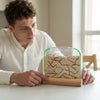 Kids Ant Farm Kit